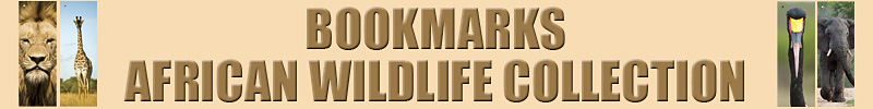 African Wildlife Collection Bookmarks